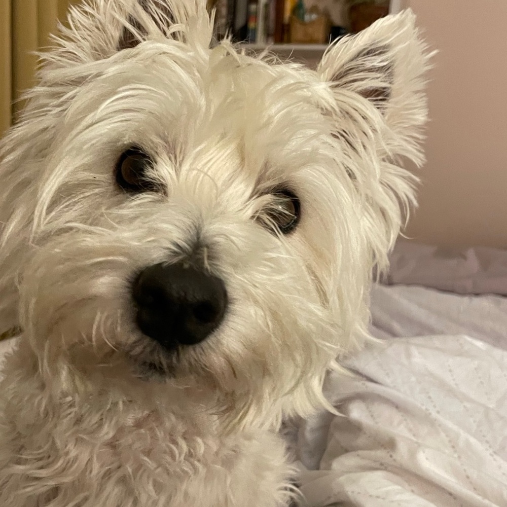 Meet your Posher, Maria